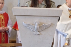 IMG_6871