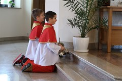 IMG_8861