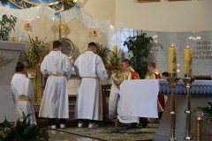IMG_8881