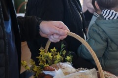 IMG_3881