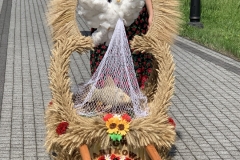 IMG_1252