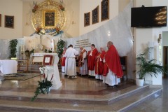 IMG_7905