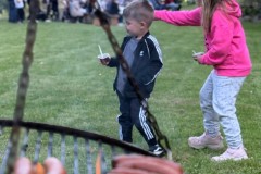 IMG_0011