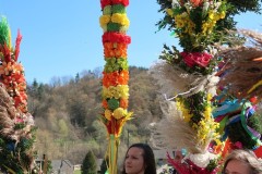 IMG_9649