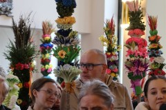 IMG_3387