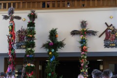 IMG_3389