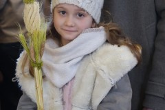 IMG_3401
