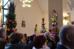 IMG_3406