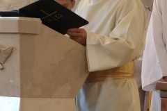 IMG_4241