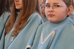 IMG_4247