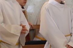 IMG_4256