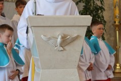 IMG_8187