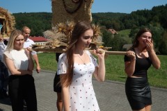 IMG_8226