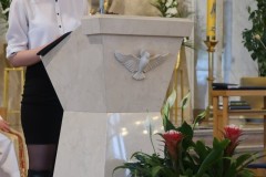 IMG_8290