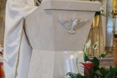 IMG_8312