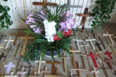 DSCF5904