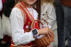 IMG_4546