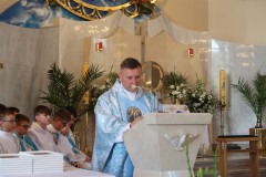 IMG_0390
