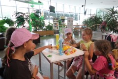 IMG_8071