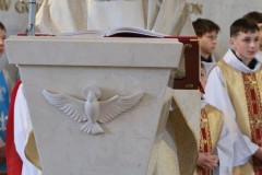 IMG_3545
