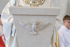 IMG_3549