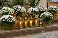 IMG_8787